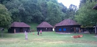umetnicka kolonija trsic