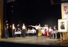 vece posveceno bori stankovicu loznica