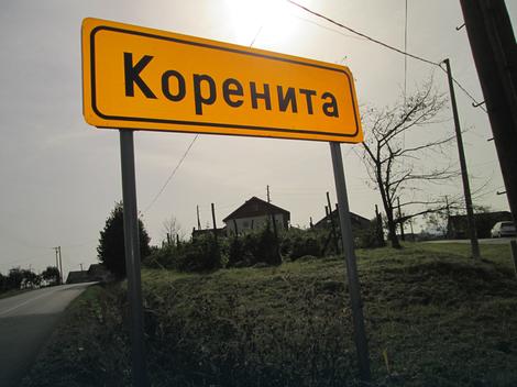 korenita