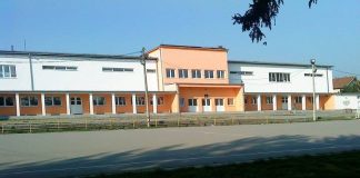 osnovna-skola-vera-blagojevic-banja-koviljaca