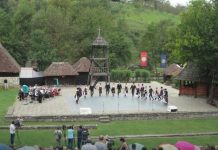 sve-o-vuku-karadzicu