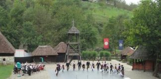 sve-o-vuku-karadzicu