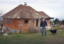 radovan iz sela vrbic kod bele crkve