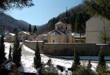 manastir tronosa korenita loznica