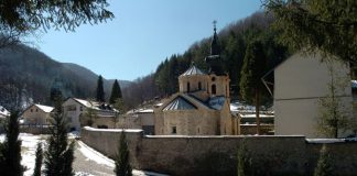 manastir tronosa korenita loznica