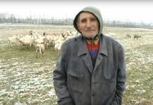 pantelija-trninic