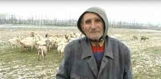 pantelija-trninic