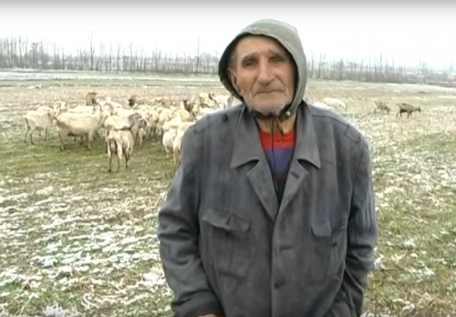 pantelija-trninic pantelija-trninic