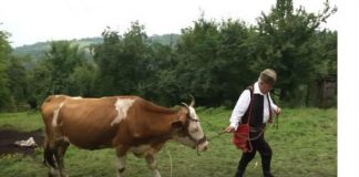 Putujući festival dokumentarnog filma "Mladenci 2017"