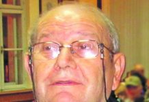 profesor radivojevic