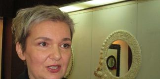 sanja ribic milivojevic loznica