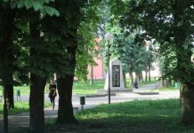 KAO U HIČKOKOVOM FILMU Stanovnici Lešnice ne smeju kroz park jer ih NAPADAJU VRANE vrane lesnica