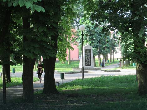 vrane lesnica vrane lesnica