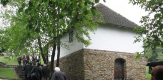 kuca pisaca trsic