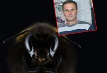 tragedija-kod-loznice-preminuo-nakon-ujeda-pcele