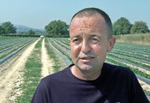 REKORDER: BRANKO MATIĆ NAJVEĆI PROIZVOĐAČ JAGODA U JADRU