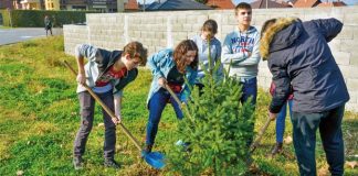ZA ČISTIJU I LEPŠU LOZNICU: Nove sadnice četinara