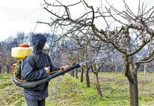 O zaštiti gajenih kultura OBAVEZNO PRSKANJE PRED POČETAK VEGETACIJE