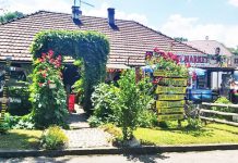 ЕКОЛОГИЈА НА ПРВОМ МЕСТУ