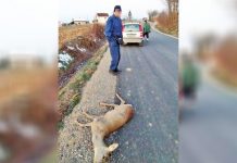 ПОНОВЉЕНЕ ЛАЖНЕ ТВРДЊЕ ОД ПРЕ ДВЕ ГОДИНЕ